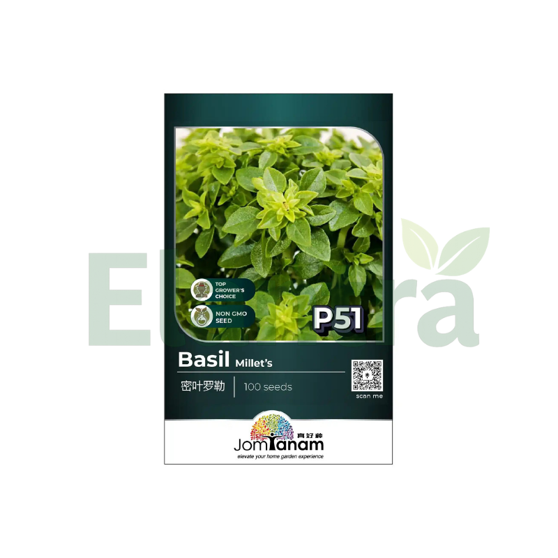 P51 BASIL MILLET'S